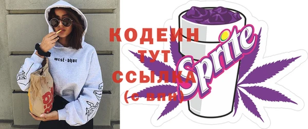 мдпв Володарск