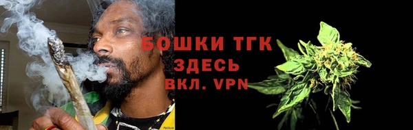 мдпв Володарск