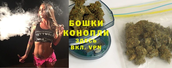мдпв Володарск