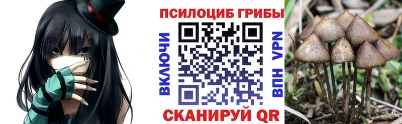 Купить  Луховицы  Галлюциногенные грибы MAGIC MUSHROOMS 